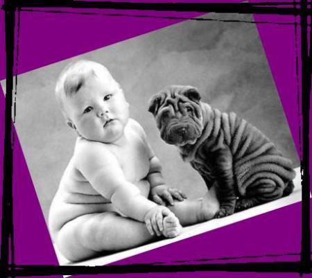 chien +bb